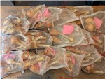 The Interesting Clumps from Cohort 26 in Bags